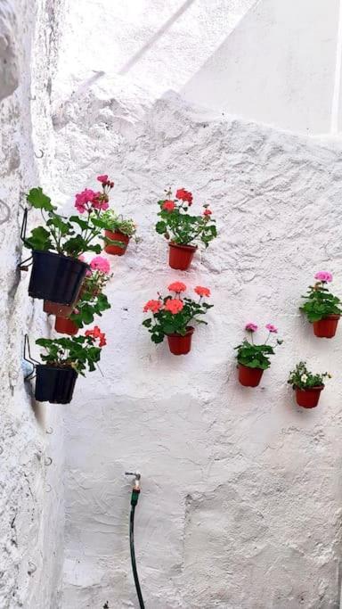 La Casa De Tiles * Vélez Blanco